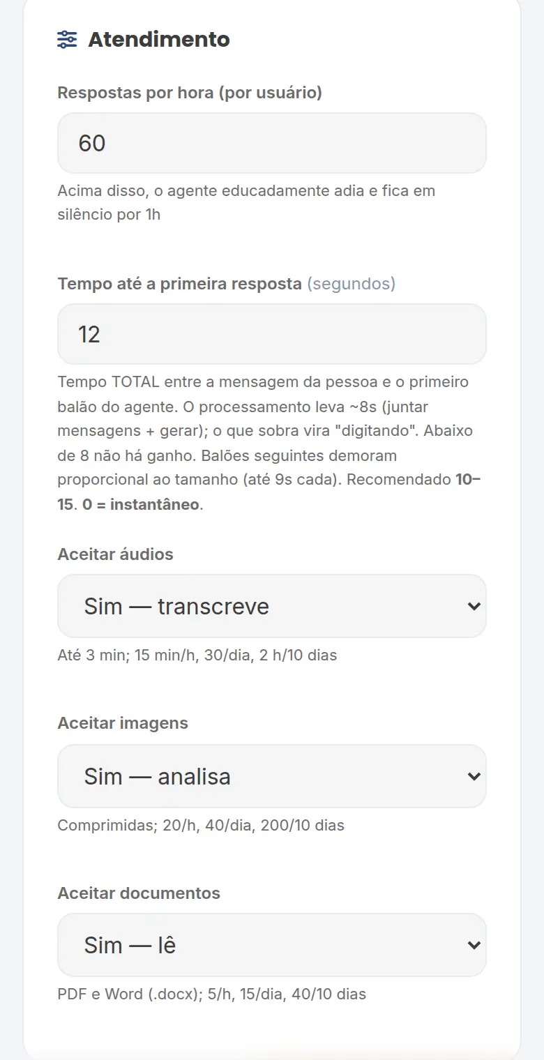 Seção Atendimento com os campos Respostas por hora, Tempo até a primeira resposta e as opções de aceitar áudios, imagens e documentos