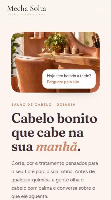 Home page of the sample site Mecha Solta